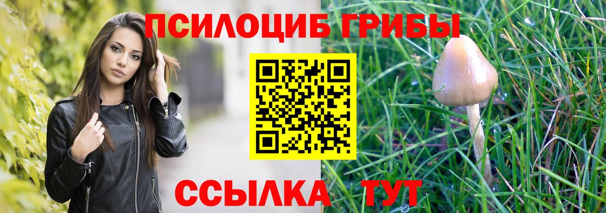 Галлюциногенные грибы Psilocybe  Вход с VPN  Старая Купавна  Галлюциногенные грибы ЛСД 